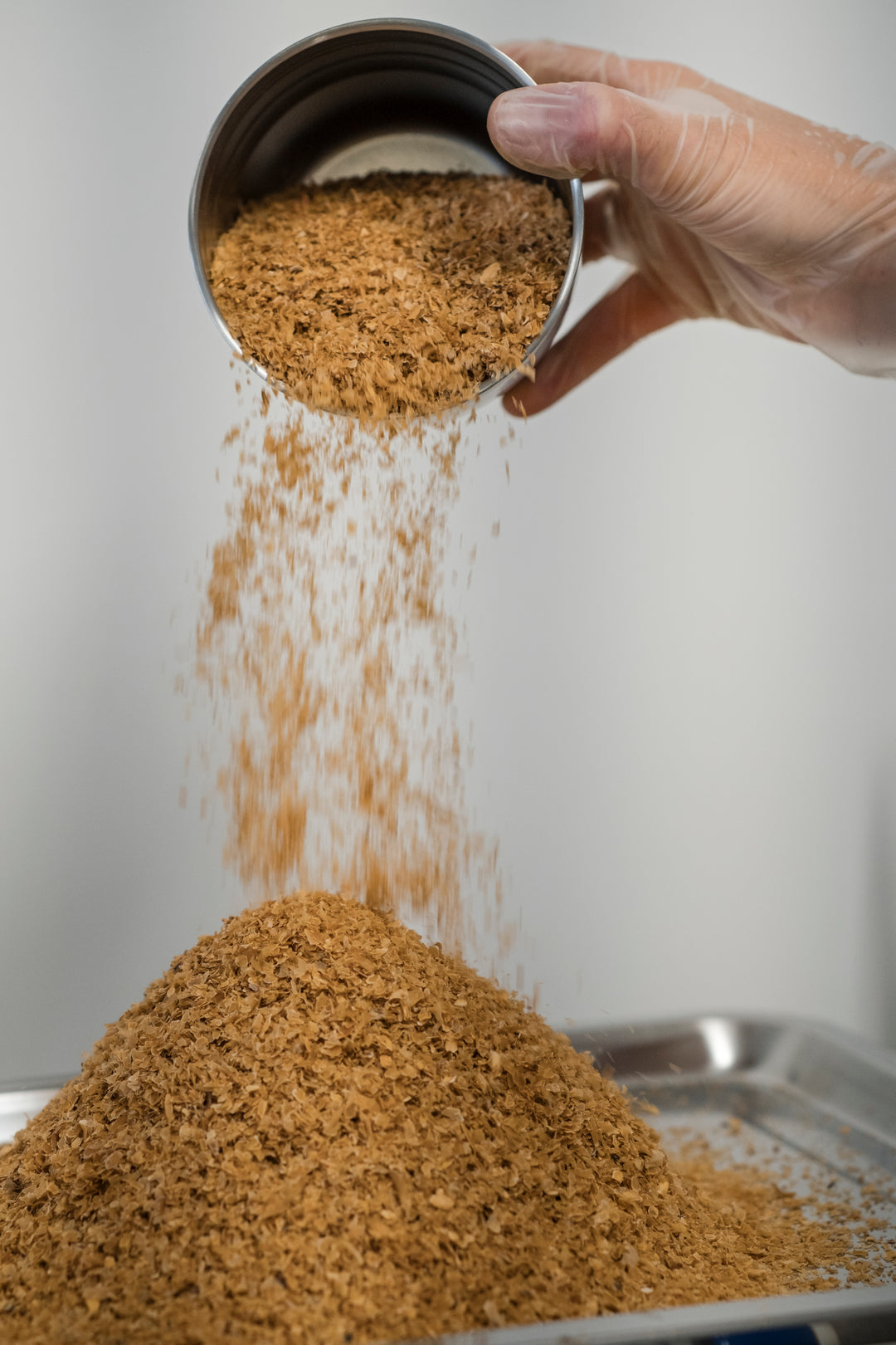 MOSS BOSS - ANTI INFLAMMATORY TURMERIC & GINGER